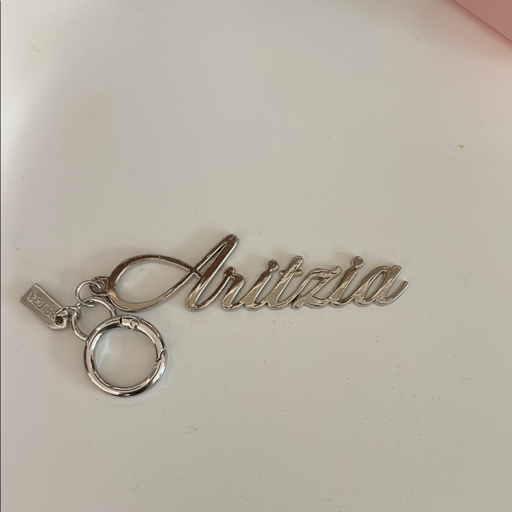 NWOT Silver Aritzia key chain